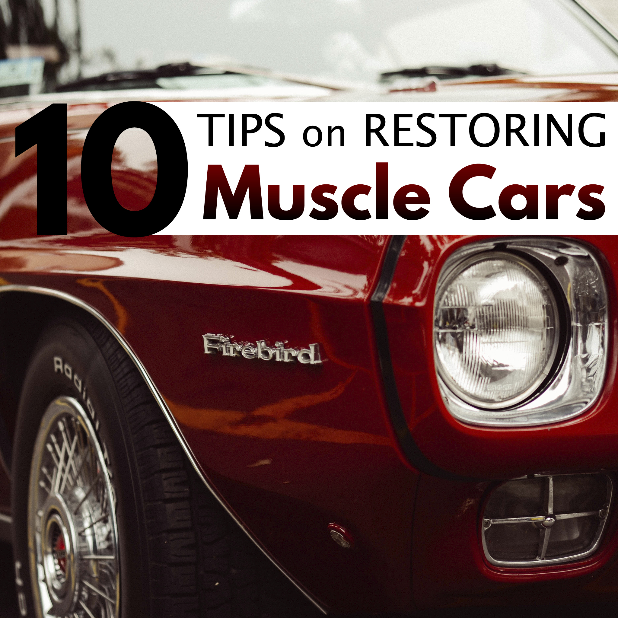 Social Media Graphic - Muscle Cars
